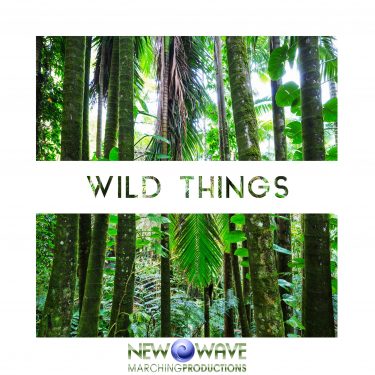 Wild Things Album Artwork
